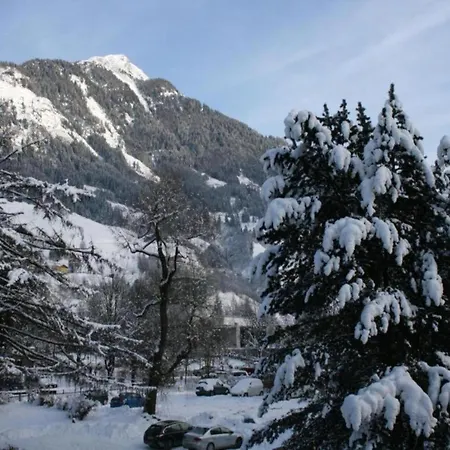 In Near Slopes Daire *